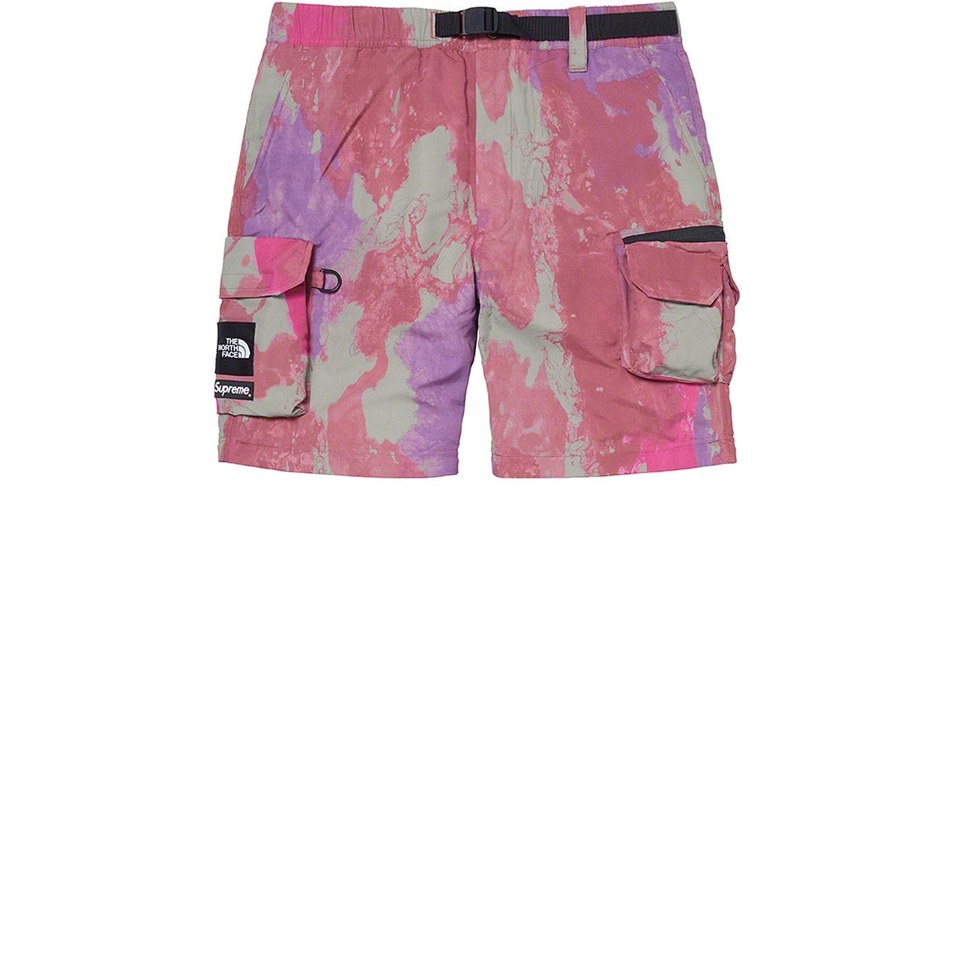 Supreme®/The North Face® Belted Cargo Pant view 3